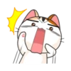 Gogil Meow 14