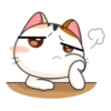 Gogil Meow 15