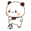 cleisya ' panda 19