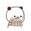 cleisya ' panda 20
