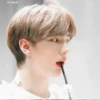 MENTAR AR