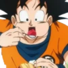 Dragon ball 19