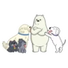 Ice Bear 19