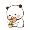 cleisya ' panda 22