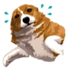 Corgi Dog 25