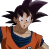 Dragon ball 21
