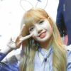 Lisa 24