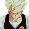 Dragon ball 24