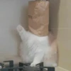 Kitty mood 25