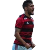 Flamengo Nação 24