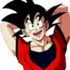 Dragon ball 27