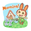 Morning!