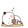 cleisya ' panda 29