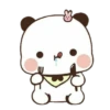 cleisya ' panda 30