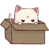 Kawaii 23