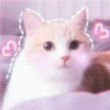 ย
3
