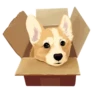 Corgi Dog 28