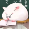 Hamsters 29