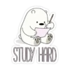 Ice Bear 30