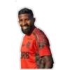 Flamengo Nação 29