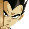 Dragon ball 29