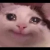 AniMaLs 7