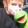 Kermit la rana 6