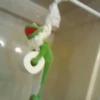 Kermit la rana 8