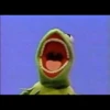 Kermit la rana 9