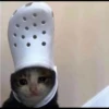 kucing gemoy 8