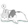 Machiko Rabbit 10