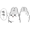 Machiko Rabbit 13