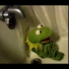 Kermit la rana 10