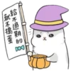 Machiko Rabbit 14