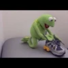 Kermit la rana 11