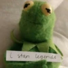Kermit la rana 13