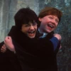 Harry Potter 8