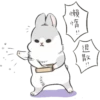 Machiko Rabbit 17
