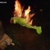 Kermit la rana 14