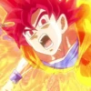 Dragonball 8