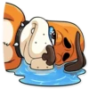 Duck Hunt 12