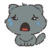 Cute Cats 13