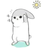 Machiko Rabbit 18