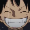 MONKEY D LUFFY 12