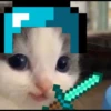 Kucing berbagai Rasa 15
