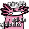 mira bb
FlorksitosVale
soi un
ajolotito