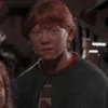 Harry Potter 11