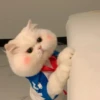Meow 12