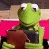 Kermit la rana 15