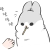 Machiko Rabbit 20